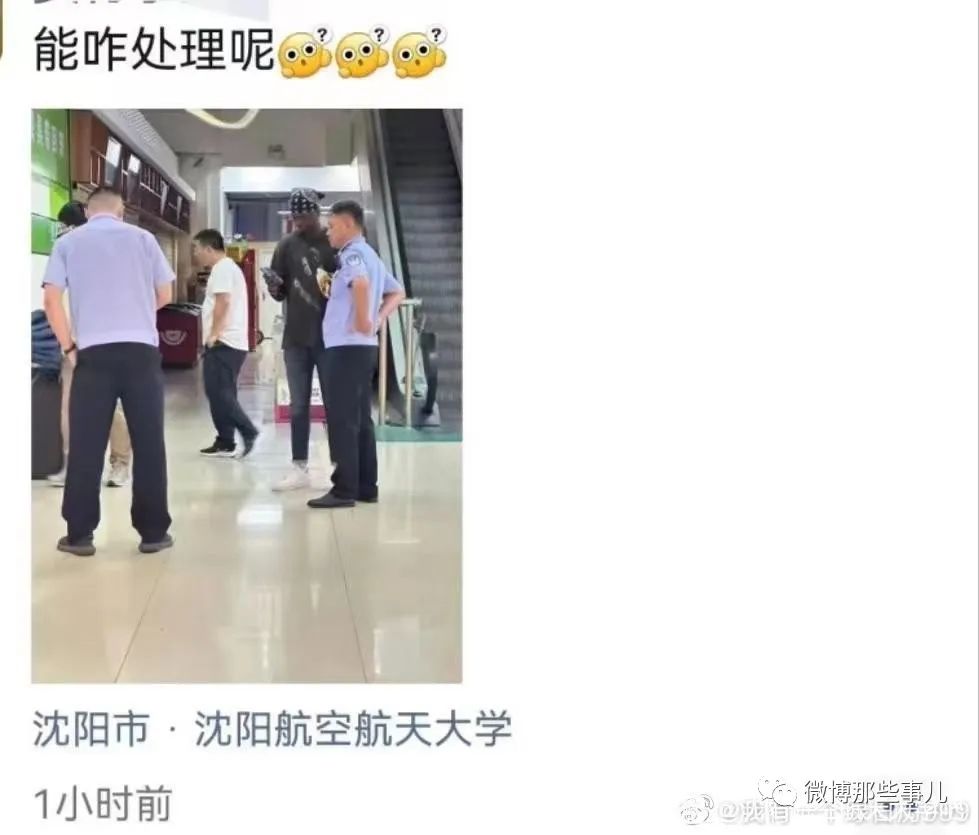 Word文档图片