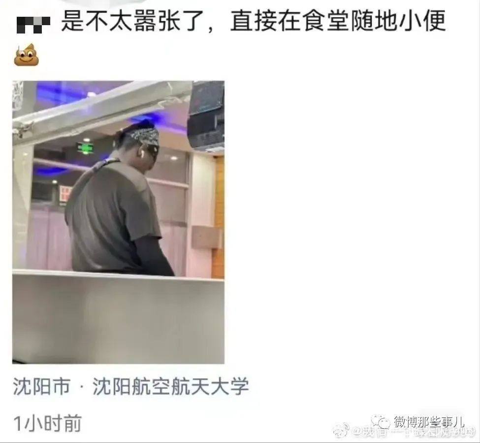 Word文档图片