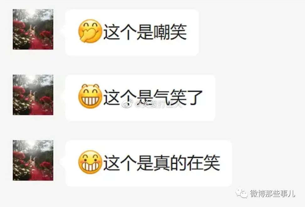 Word文档图片