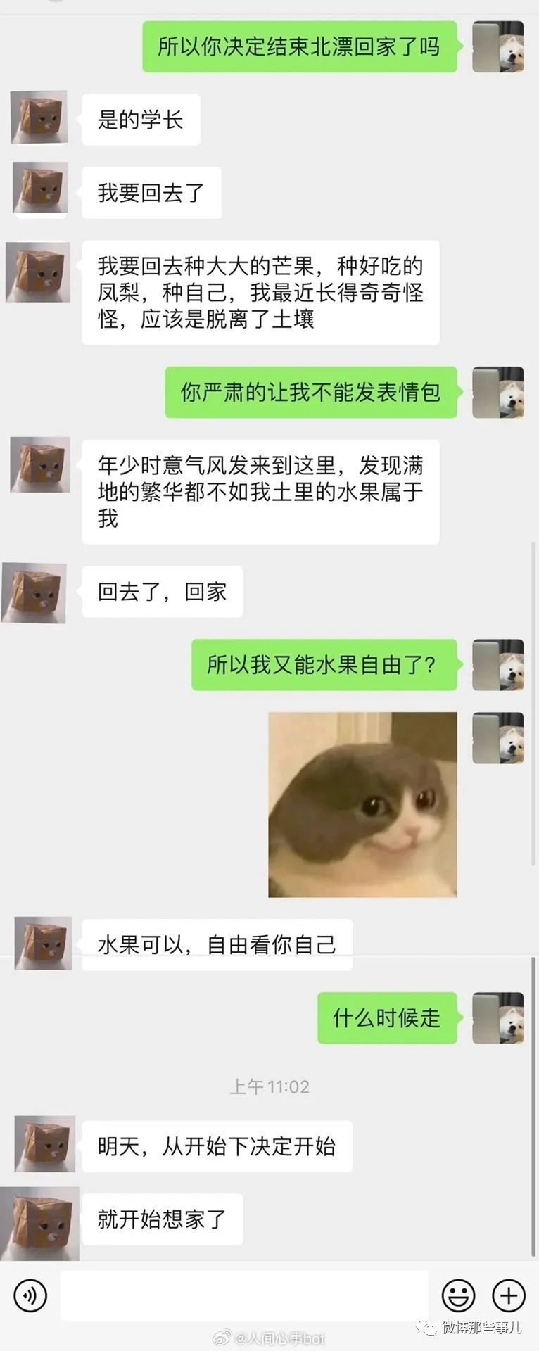 Word文档图片