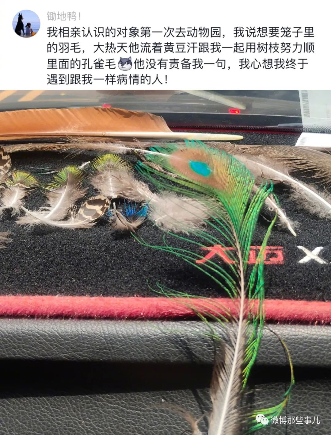 Word文档图片
