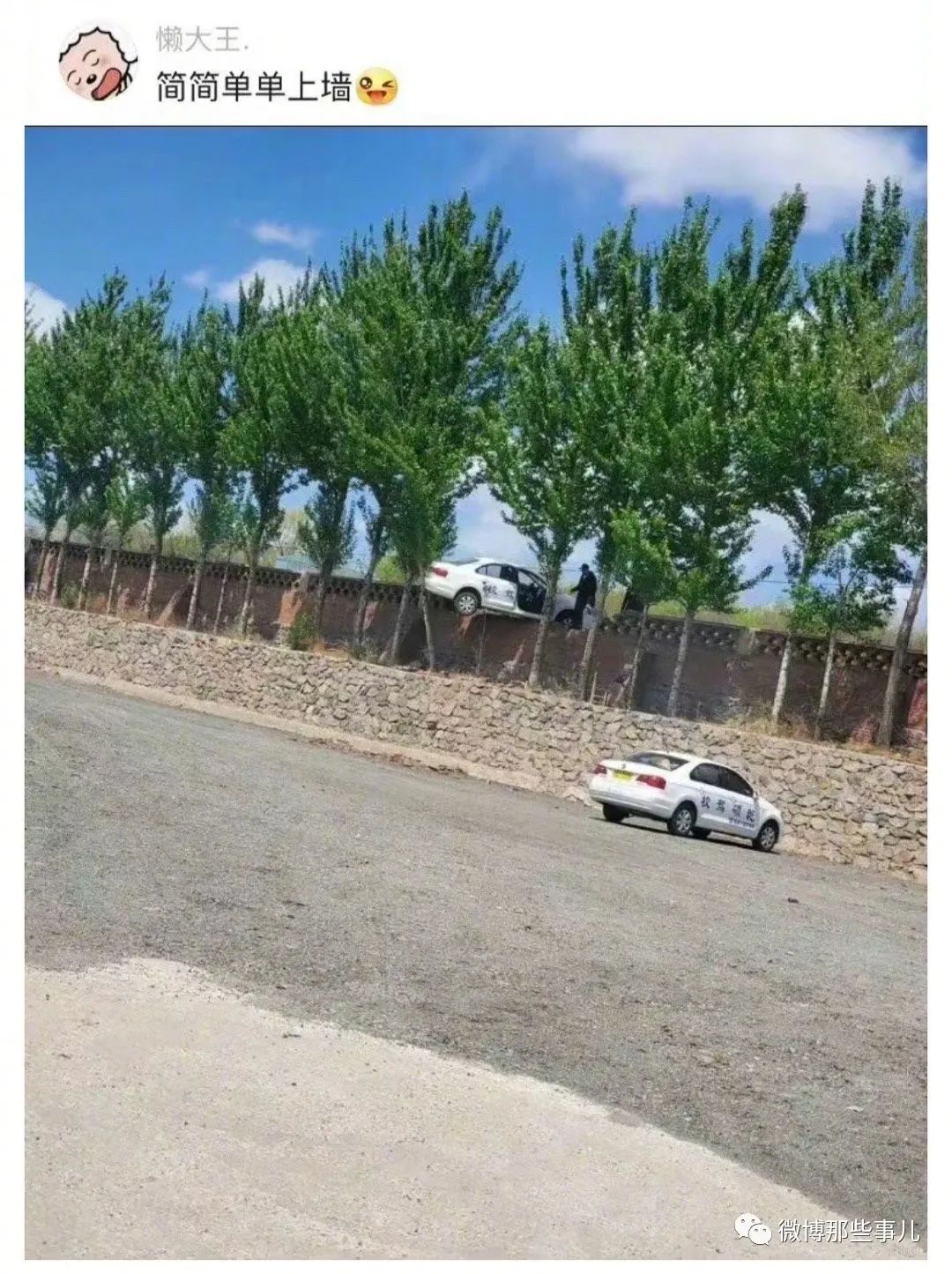 Word文档图片